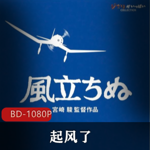 日本动画大神宫崎骏最后执导动画《起风了》经典高清珍藏版