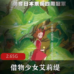 （穿越时空的少女）完整版中文版