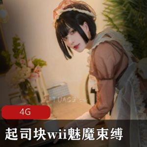 全套（起司块wii）魅魔束缚合集